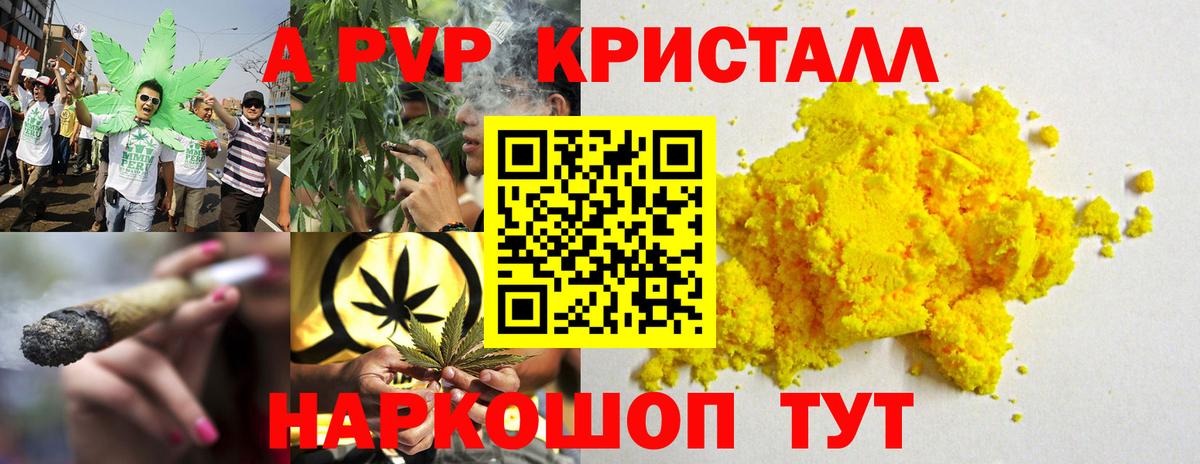 А ПВП Королёв