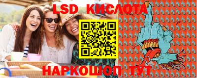 бошки Кингисепп