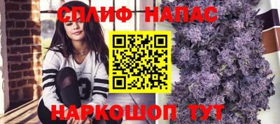бошки Кингисепп