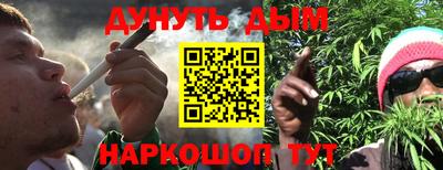 бошки Кингисепп