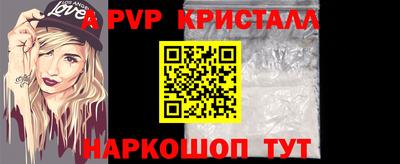 бошки Кингисепп