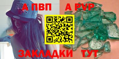 бошки Кингисепп