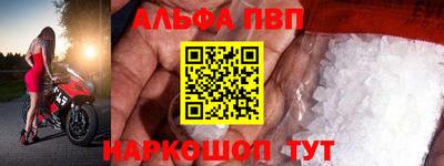 бошки Кингисепп