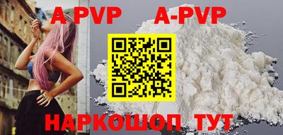 бошки Кингисепп