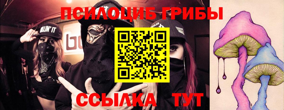 Галлюциногенные грибы Psilocybine cubensis  Вход с VPN  Королёв  Псилоцибиновые грибы прущие грибы 